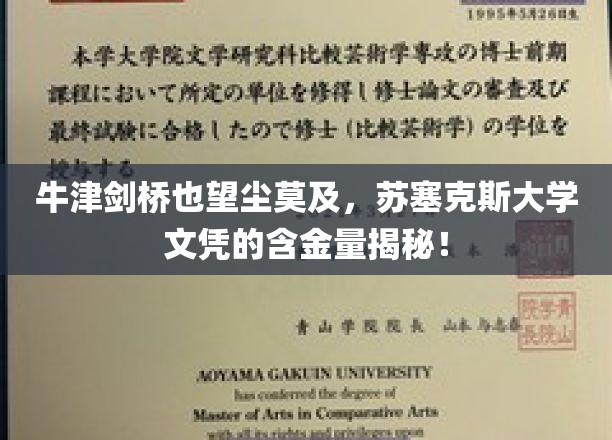 牛津剑桥亦难望其项背，苏塞克斯大学文凭的珍贵价值大揭秘！