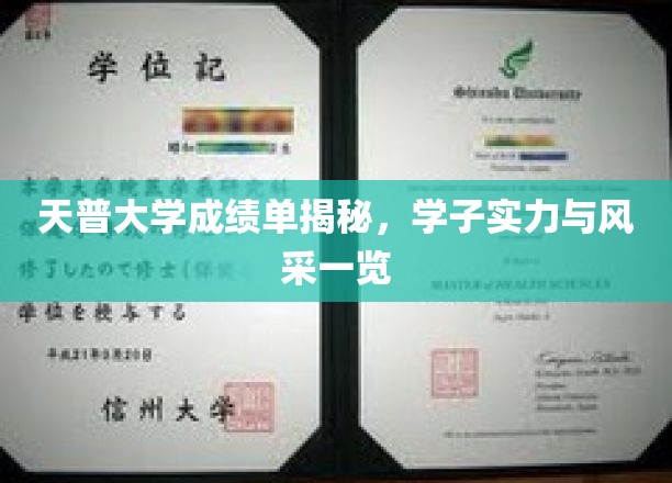 天普学子风采大揭，成绩单背后的实力与荣耀瞬间