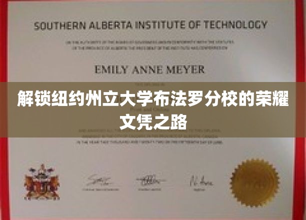 纽约州立大学布法罗分校的荣耀文凭之路