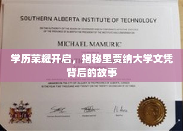 学历荣耀开启，揭秘里贾纳大学文凭背后的故事
