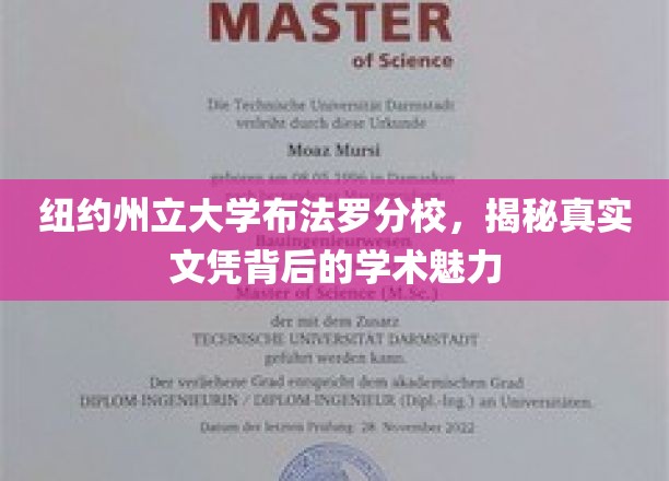 探寻纽约州立大学布法罗分校，文凭背后的学术风采揭秘