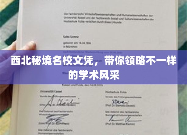丝绸之路上的学术瑰宝，西北名校文凭之旅