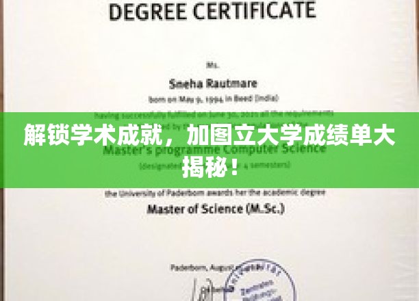 揭秘加图立大学，揭开学术成就背后的秘密成绩单大解析！