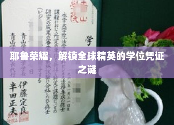 解码耶鲁传奇，揭秘全球精英背后的学位奥秘