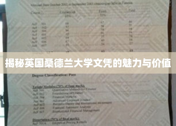 探寻英国桑德兰大学学位的全球吸引力与卓越价值