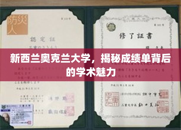 新西兰奥克兰大学，揭秘成绩单背后的学术魅力