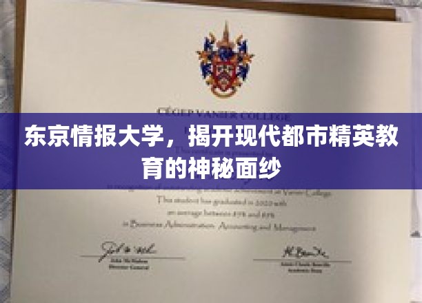 解码东京精英教育，情报大学背后的秘密世界