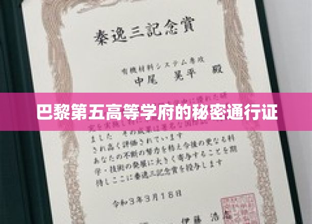 巴黎第五高等学府的秘密通行证