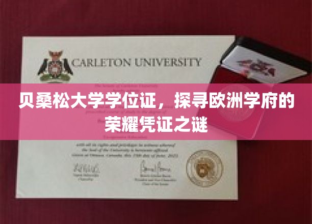 贝桑松大学学位证，探寻欧洲学府的荣耀凭证之谜