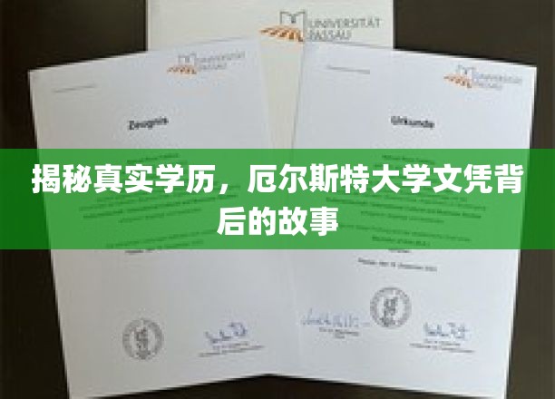 揭秘，厄尔斯特大学文凭之谜，揭开背后惊人真相！