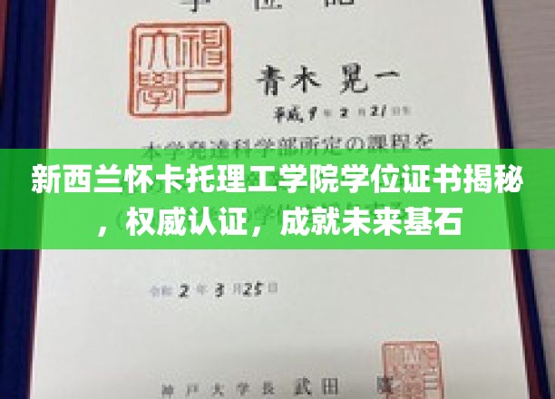 解锁未来职场金钥匙，揭秘新西兰怀卡托理工学院学位证书背后的权威认证