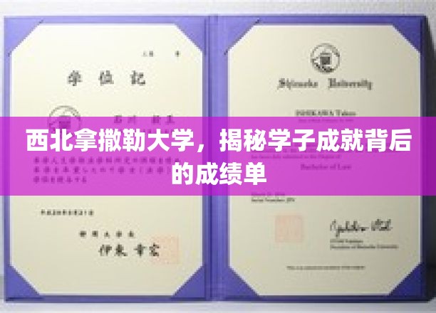 西北拿撒勒大学，揭秘学子成就背后的成绩单
