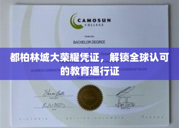 都柏林城市大学荣誉证书，开启全球认可的学术旅程