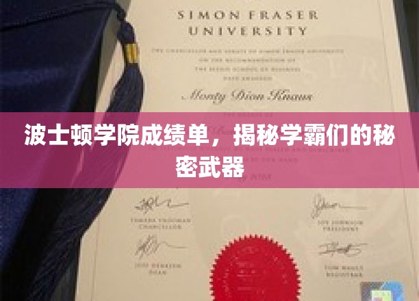 解码波士顿学院学霸秘籍，揭秘他们的学术制胜法宝