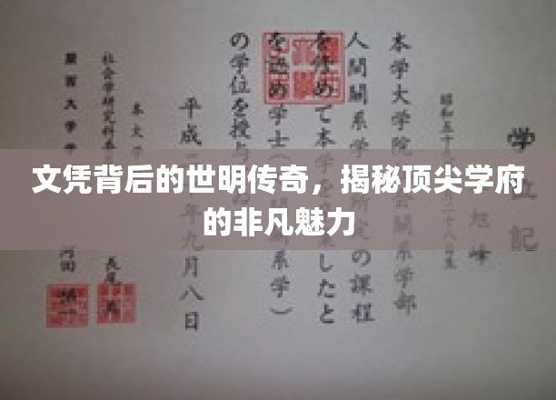 学历光环下的传奇故事，探寻顶级学府的神秘魅力