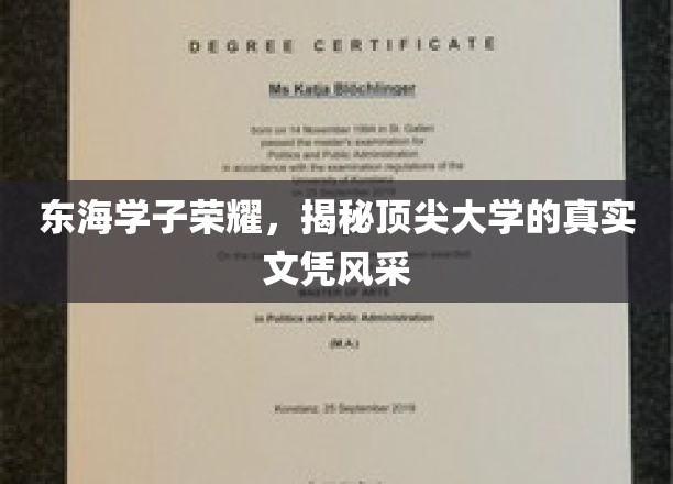 东海英才录，一探究竟，顶尖大学文凭背后的风采