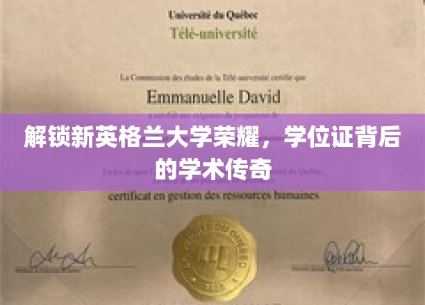 解锁新英格兰大学荣耀，学位证背后的学术传奇