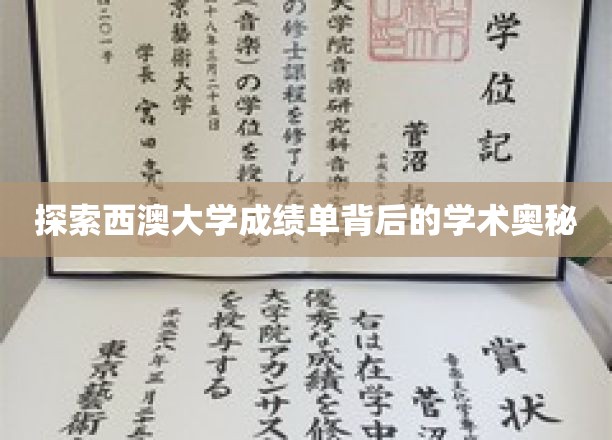解码西澳大学成绩单，揭秘学术成就的秘密面纱