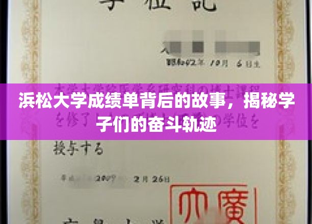 成绩单背后的青春足迹，浜松大学学子的奋斗篇章