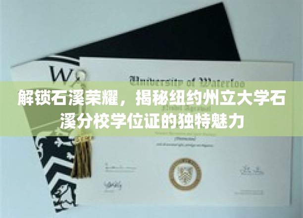 石溪之光，一探纽约州立大学石溪分校学位证的非凡印记