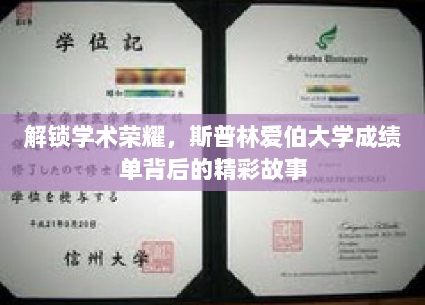 揭秘斯普林爱伯大学，揭开成绩单背后的荣耀篇章