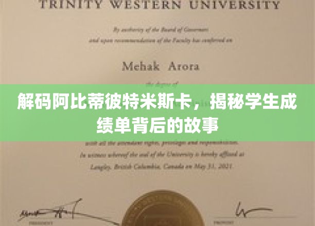 解码阿比蒂彼特米斯卡，揭秘学生成绩单背后的故事