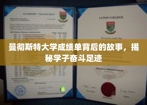 曼彻斯特大学成绩单背后的故事，揭秘学子奋斗足迹