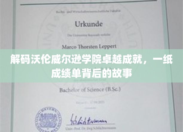解码沃伦威尔逊学院卓越成就，一纸成绩单背后的故事