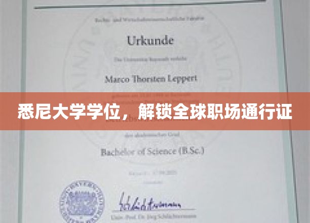 悉尼大学学位，开启全球职场新篇章