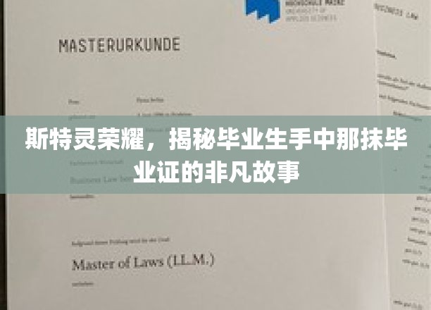 斯特灵荣耀，毕业证书背后的传奇篇章