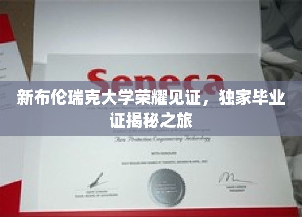 解码新布伦瑞克大学，揭秘独特毕业证的荣耀之旅