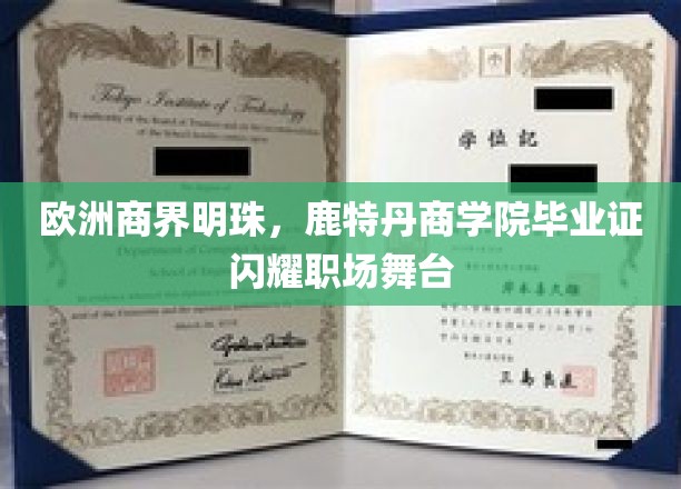 欧洲商界璀璨明珠，鹿特丹商学院毕业证在职场熠熠生辉