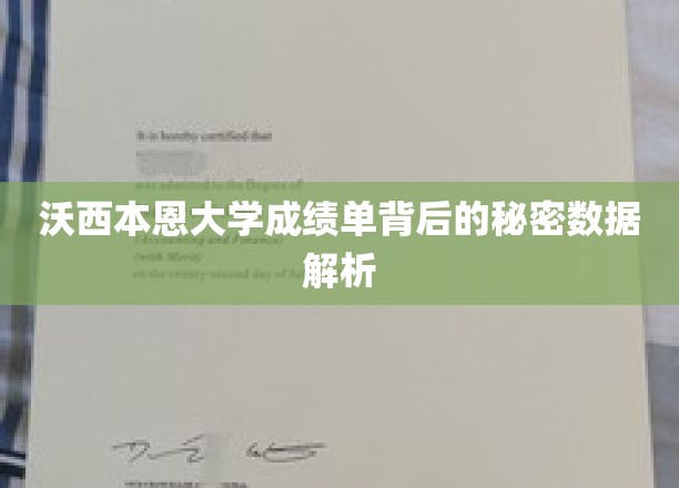 揭开沃西本恩大学成绩单的神秘面纱，数据解码背后的惊人真相
