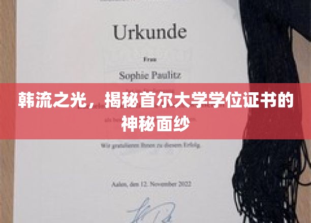 首尔大学学位证书，揭秘韩流之光背后的荣耀凭证