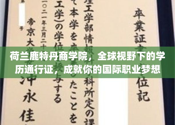 荷兰鹿特丹商学院，全球视野下的学历通行证，成就你的国际职业梦想