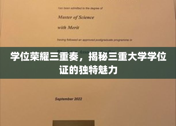 学府荣耀交响曲，探索三重学位证书的独特风采