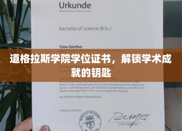 道格拉斯学院学位证书，解锁学术成就的钥匙