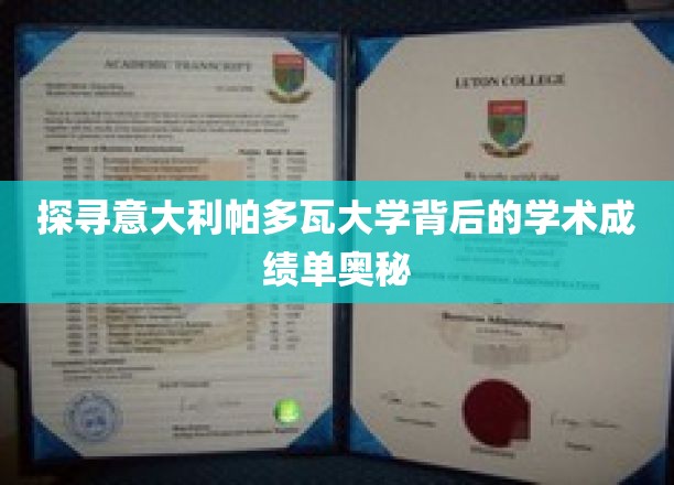 探寻意大利帕多瓦大学背后的学术成绩单奥秘
