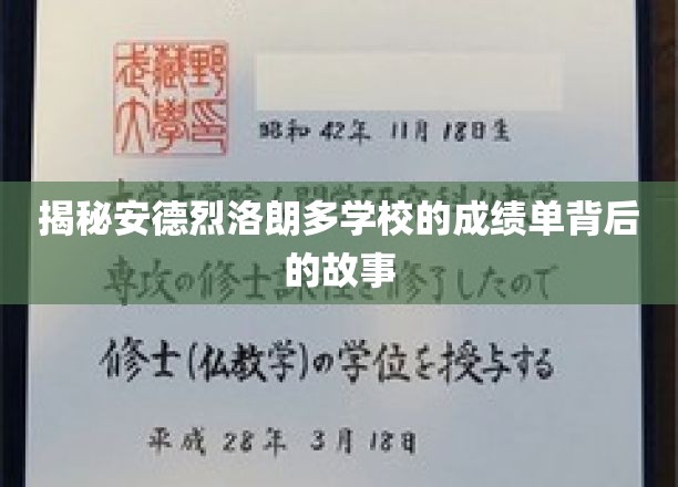 揭秘安德烈洛朗多学校成绩单背后的故事