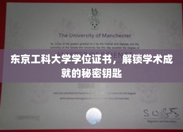 东京工科大学学位证书，开启学术成就之门的钥匙