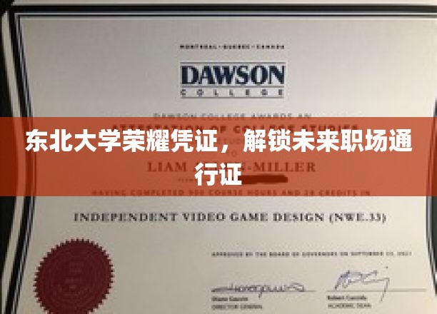东北大学学子荣耀证，开启职场精英新篇章