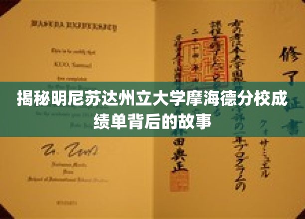 揭秘明尼苏达州立大学摩海德分校成绩单背后的故事
