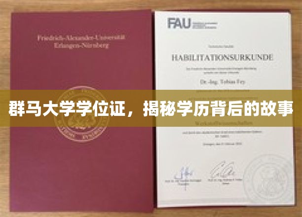 群马大学学位证，揭秘学历背后的故事