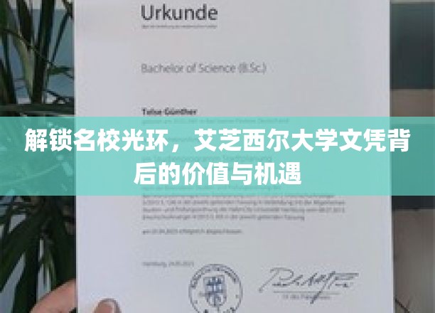 名校通行证，艾芝西尔大学学位的增值之旅
