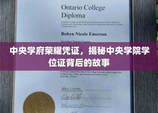 中央学府荣耀证章，一探学位证背后的传奇故事
