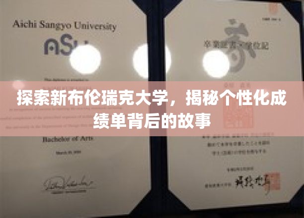 探索新布伦瑞克大学，揭秘个性化成绩单背后的故事