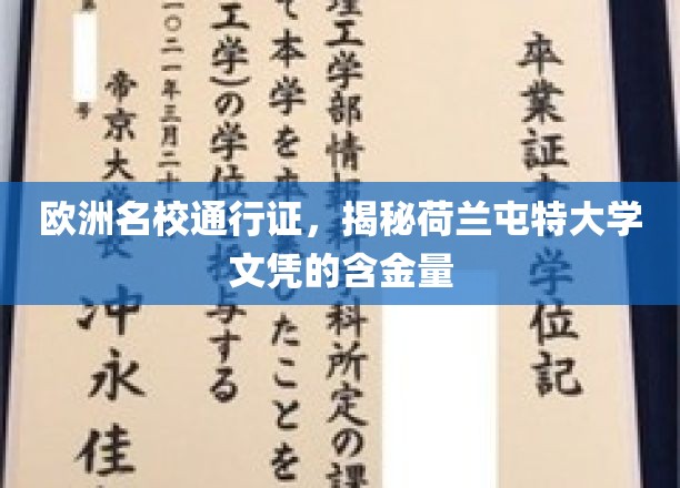 荷兰屯特大学文凭，欧洲名校的黄金钥匙