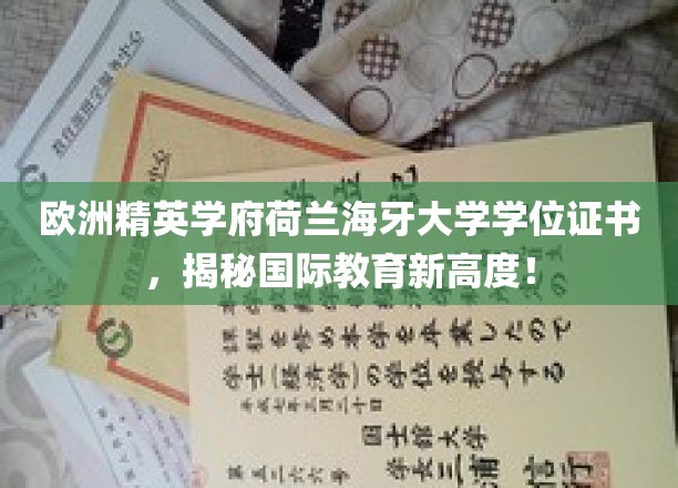 欧洲精英学府荷兰海牙大学学位证书，展现国际教育新高度！