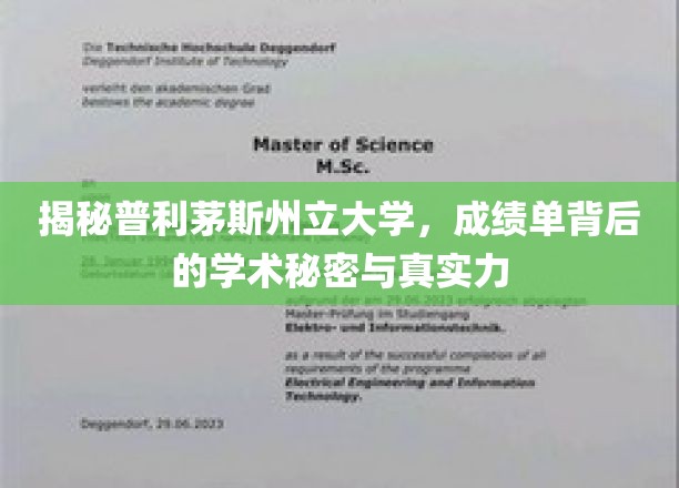 揭秘普利茅斯州立大学，探索成绩单背后的学术奥秘与真实实力