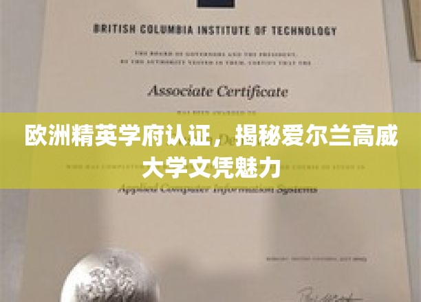 爱尔兰高威大学，欧洲精英学府加持，探索文凭的全球吸引力